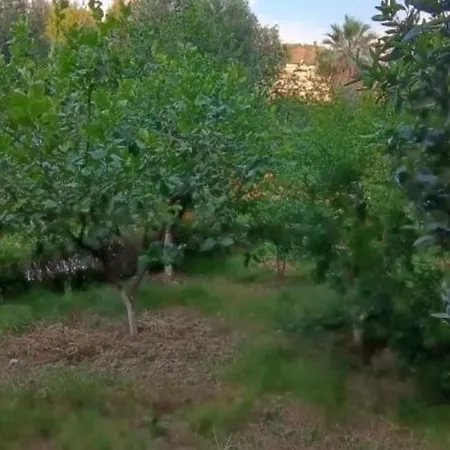 Appartamento Valona *